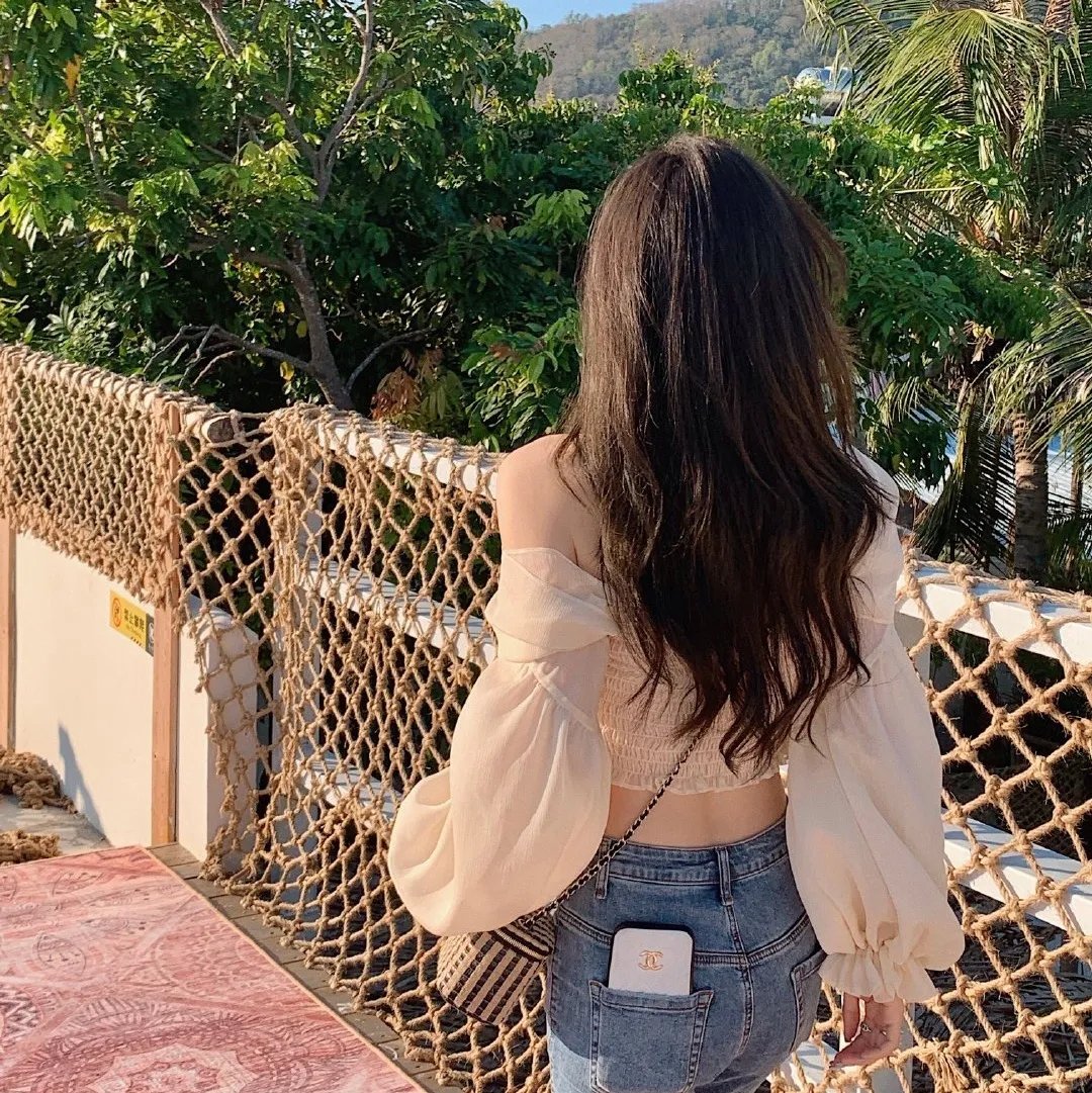 四光猪现蠢记